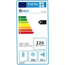 CONGELATEUR KEG 250L