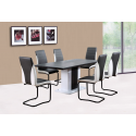 TABLE SALLE A MANGER + LOT DE 6 CHAISES