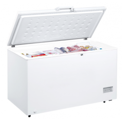 Congélateur BDE1-380 380Litres