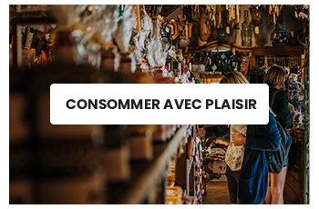 LE PLAISIR DE CONSOMMER DURABLE PASSE T-IL PAR L'ACHAT A TEMPERAMENT LONGUE DURÉE ?